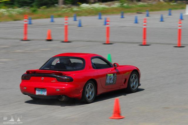 DSC_4517.jpg